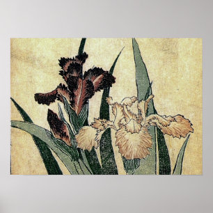 Katsushika Hokusai's Ukiyo-e Woodcut Print: Irises Poster