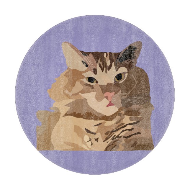 Katt (Framsidan)