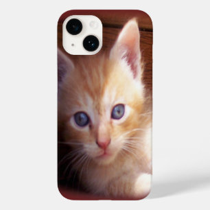 Katt