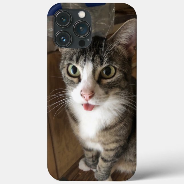 Katt (Baksida)