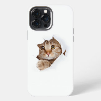 Katt