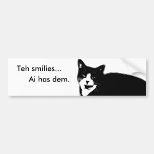 Katt2 Bildekal