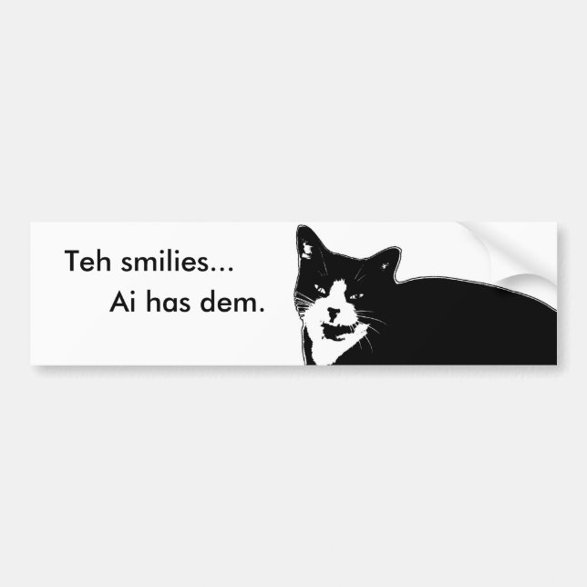 Katt2 Bildekal (Framsidan)