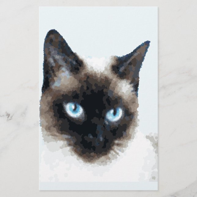 KATT 11 BREVPAPPER (Framsida)