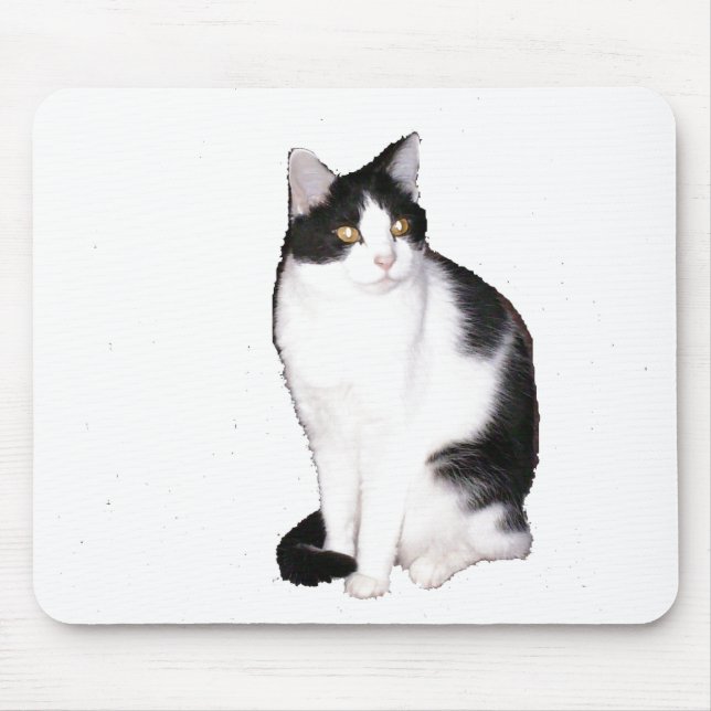 Katt 12, musknapp musmatta (Framsidan)