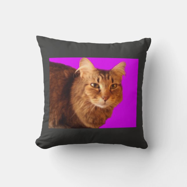 Katt 14 Pillow Kudde (Framsida)