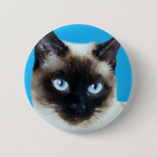 Katt 1 knapp