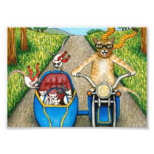 Katt 384 rolig katt och mus på motorcykel fototryck