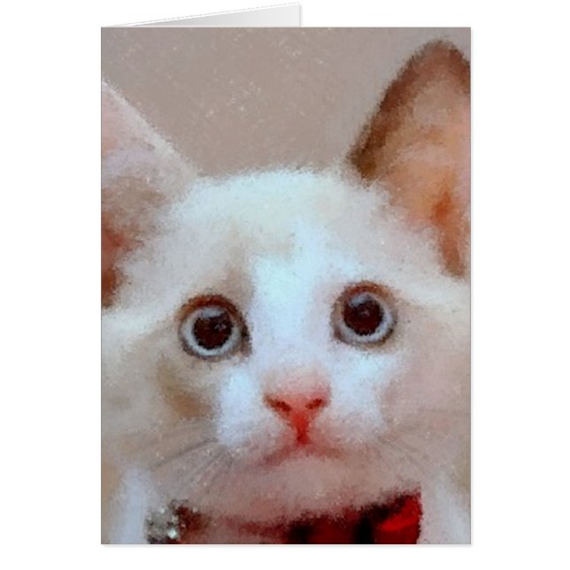 katt 3 hälsningskort (Framsidan)