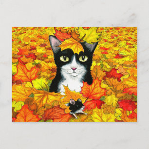 katt 447 vykort