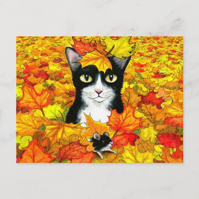 katt 447 vykort (Framsida)