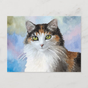 Katt 572 vykort
