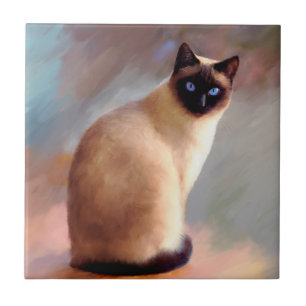 Katt 613 siamese 6x6 kakelplatta