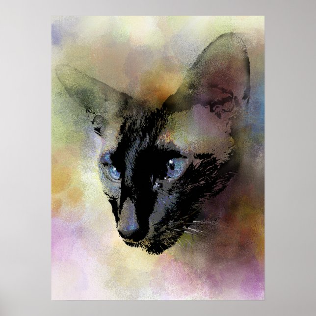 Katt 620 siamesiska poster (Framsidan)