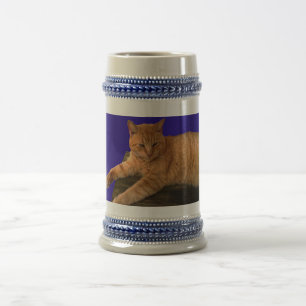 Katt 8, Stein Sejdel