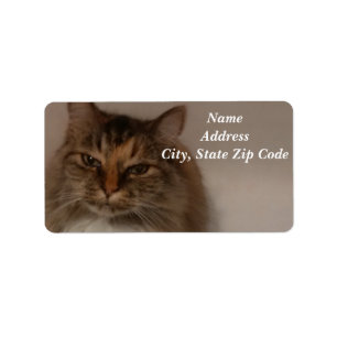 Katt-Adressetiketter Adressetikett