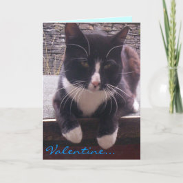 Katt Alla hjärtans dagskort Helgkort