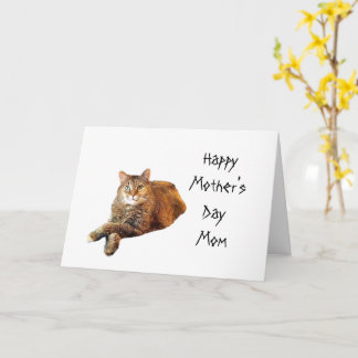 KATT ÄLSKARE MORS DAG  KORT