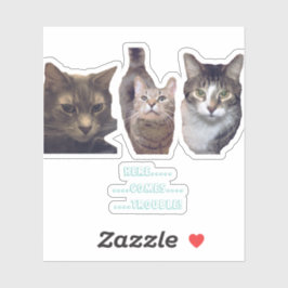 Katt, Anpassningsbar, vinylförsegling Klistermärken