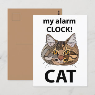 Katt ansikte min väckarklocka randig katt vykort