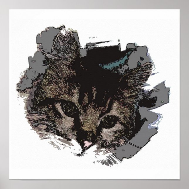Katt Ansikte - Ögon av Katt Poster Skriv ut - Katt (Framsidan)