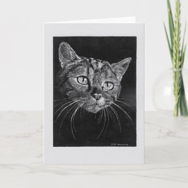 Katt ansikte tom kort. kort (Framsida)