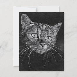 Katt ansikte  vykort