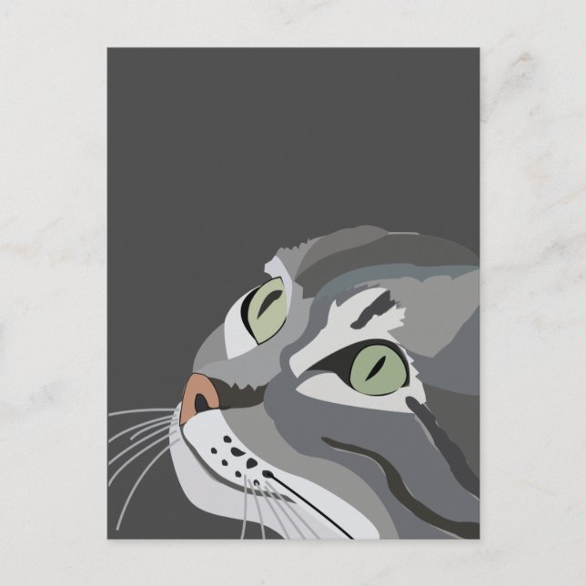 Katt Ansikte Vykort (Framsida)