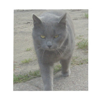Katt Anteckningsblock