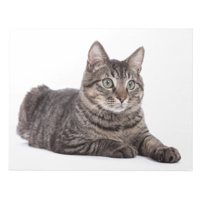 Katt Anteckningsblock (Framsida)