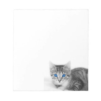 katt-anteckningsblock anteckningsblock