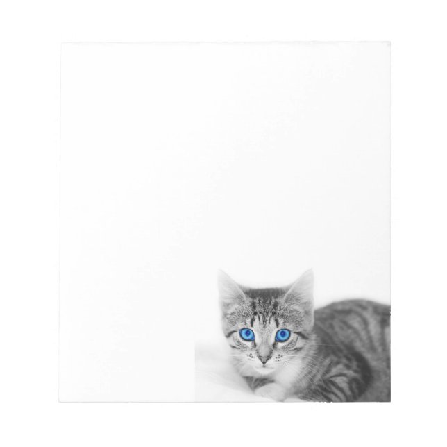 katt-anteckningsblock anteckningsblock (Framsida)