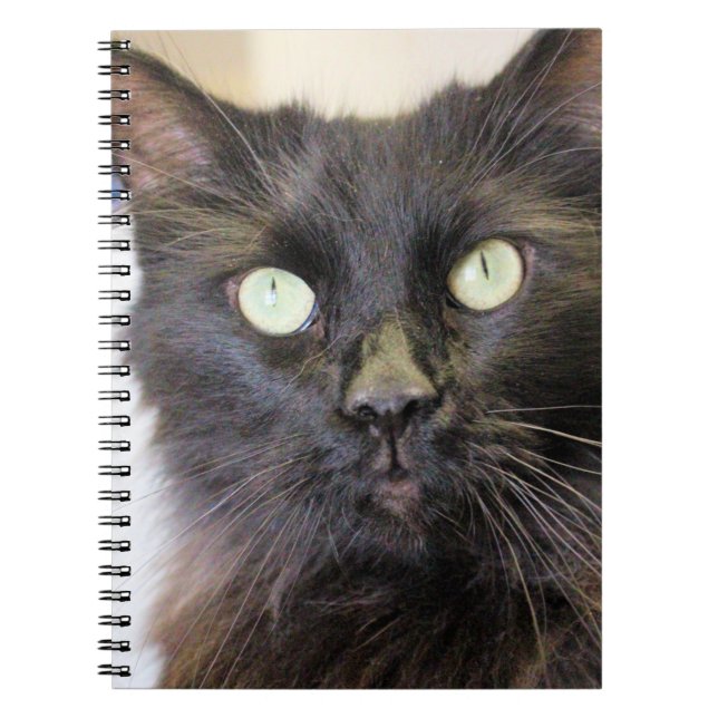Katt Anteckningsbok (Framsidan)