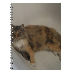 Katt Anteckningsbok