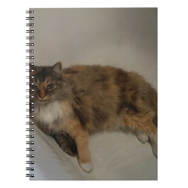 Katt Anteckningsbok (Framsidan)