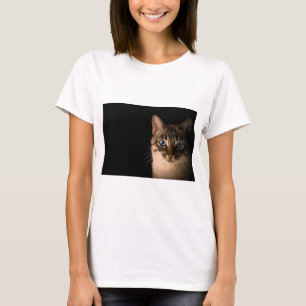 Katt är de bästa 20 t shirt