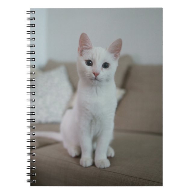 Katt är de bästa 42 anteckningsbok (Framsidan)