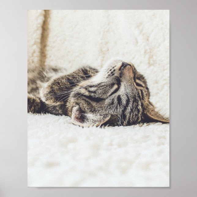 Katt är de bästa 88 poster (Framsidan)