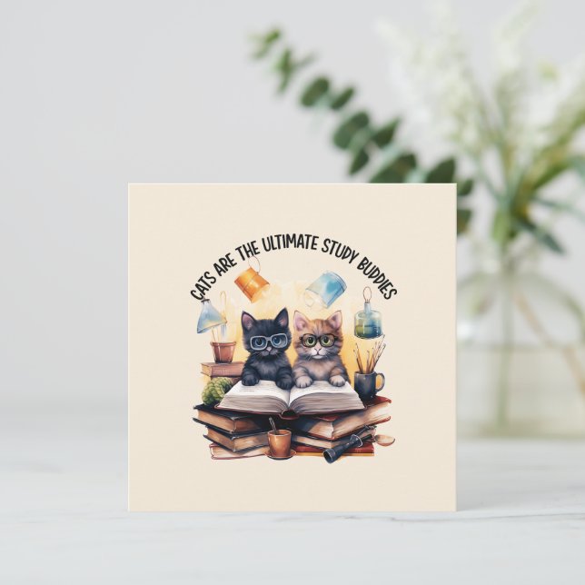 Katt är de ultimata studiebudskapen (Stående Fram)