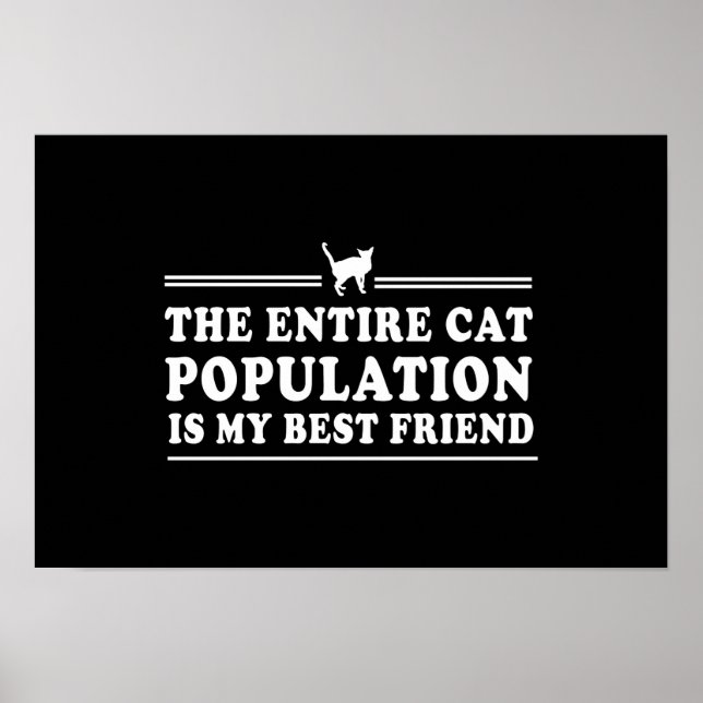 Katt är min bästa vän poster (Framsidan)