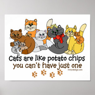 Katt är som att Potato Chip ska äta Poster