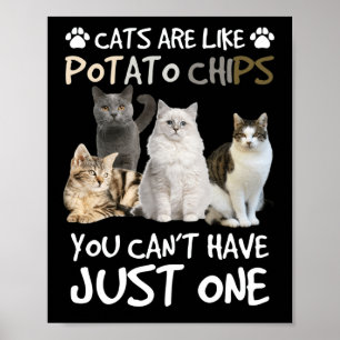 Katt är som potatis Chip Cat Lovers Tee Kattunge Poster