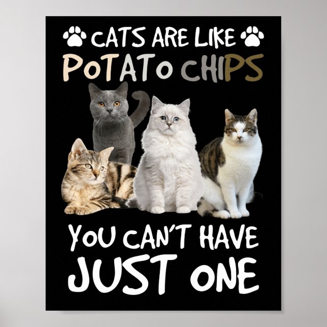 Katt är som potatis Chip Cat Lovers Tee Kattunge Poster (Framsidan)