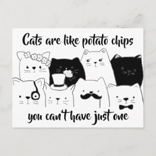 Katt är som potatis Chip/ kattDoodle Vykort