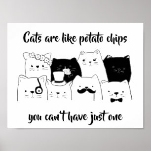 Katt är som potatis Chip / lustig kattluda Poster