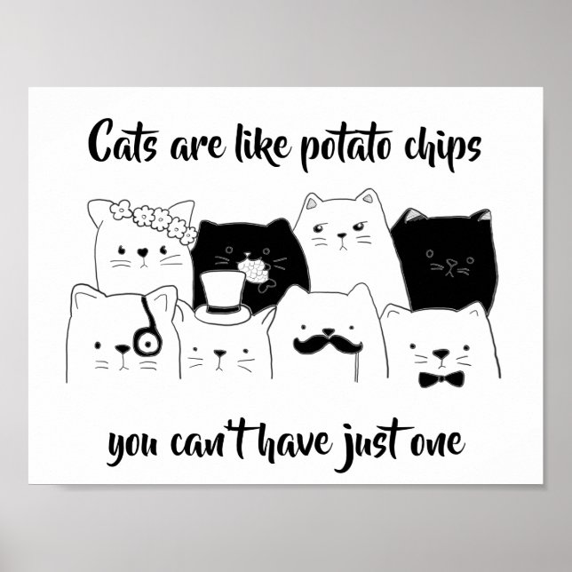 Katt är som potatis Chip / lustig kattluda Poster (Framsidan)