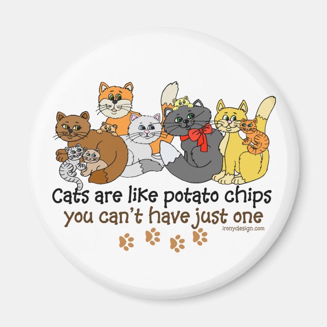 Katt är som potatis chip magnet (Framsidan)