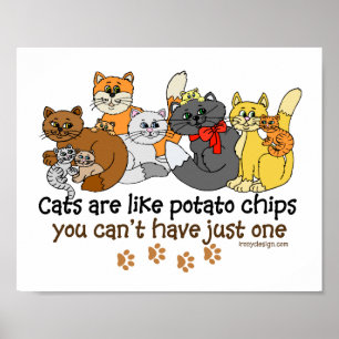 Katt är som potatis chip poster
