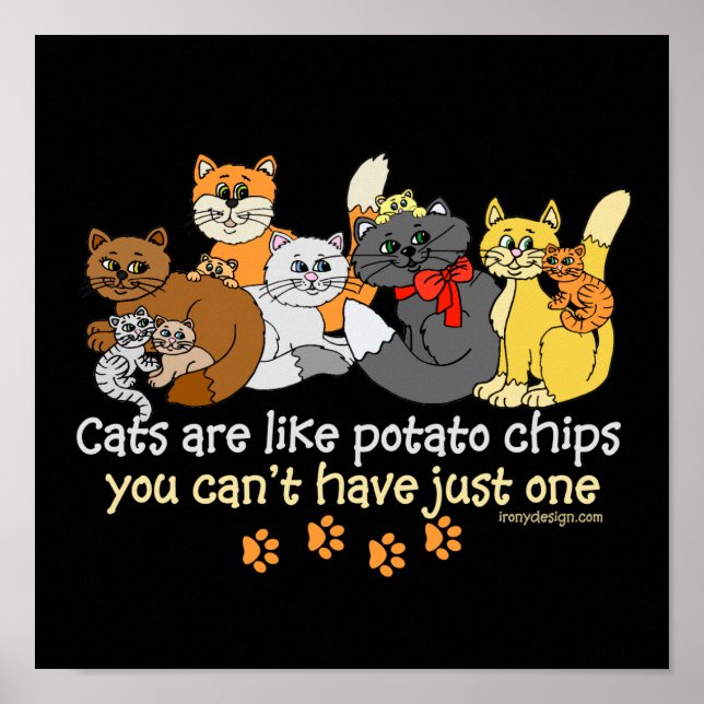 Katt är som potatis chip poster (Framsidan)