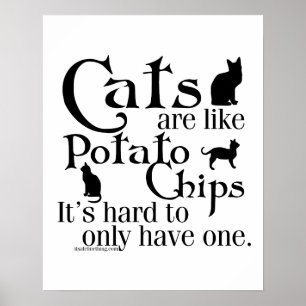 Katt är som potatis chip.. poster